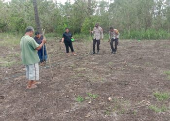 Wujudkan Ketahanan Pangan di Perbatasan, Polsek Laen Manen Tanam Jagung Bersama Warga